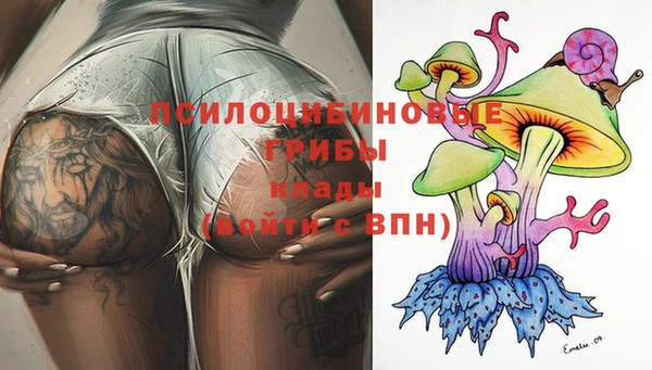гашиш Богданович