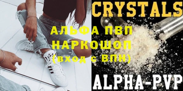 гашиш Богданович