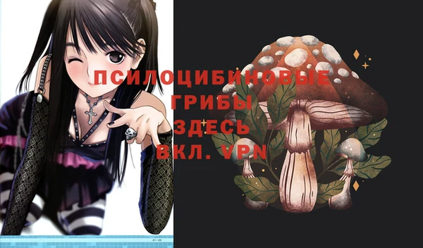мескалин Богородицк
