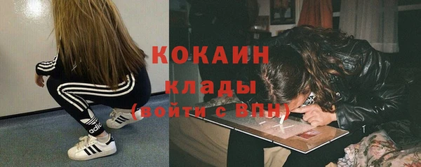 гашиш Богданович